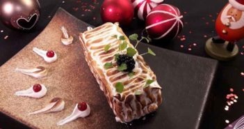 Les raisons d’acheter une machine mise sous vide a Noël. Machine mise sous vide pour Noël