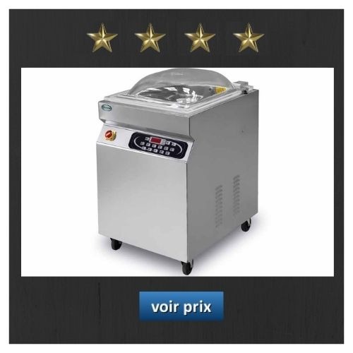 Machine sous vide Lavezzini Lapack 500